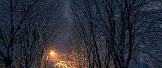 ЗИМНЯЯ КРАСОТА ПЯТИГОРСКА" КО ДНЮ ТВОРЧЕСТВА И ВДОХНОВЕНИЯ