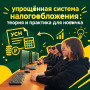 УПРОЩЕННАЯ СИСТЕМА НАЛОГООБЛОЖЕНИЯ: ТЕОРИЯ И ПРАКТИКА ДЛЯ НОВИЧКА