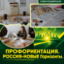 ЕДИНЫЙ ДЕНЬ ПРОФОРИЕНТАЦИИ «РОССИЯ – НОВЫЕ ГОРИЗОНТЫ» - 15.10.2026